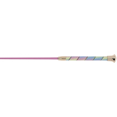 Whip & Go Strassy Dressuurzweep rainbow