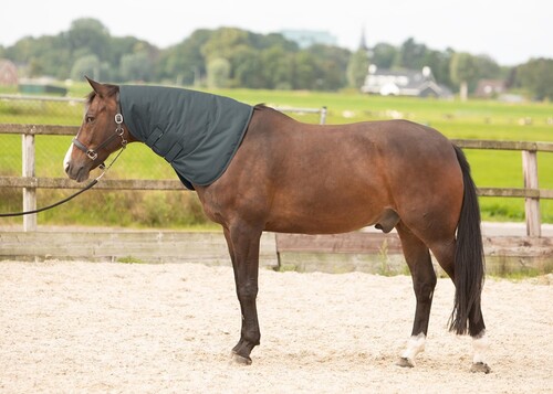 Harry's Horse Halsstuk Thor 200gr