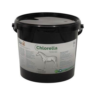 Duval Chlorella poeder | 3kg