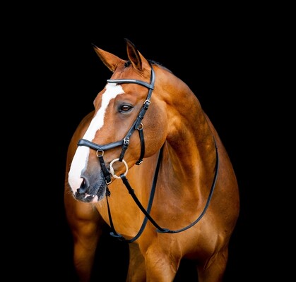 Horseware Micklem 2 Diamante Competition hoofdstel