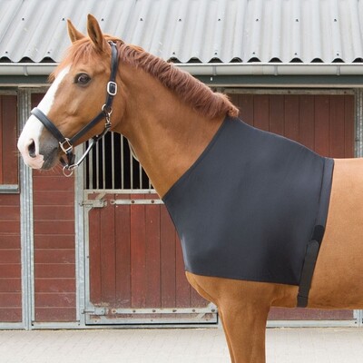 Harry's Horse Borstbeschermer Elastic