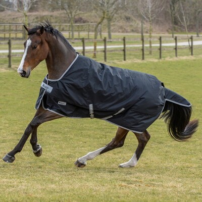 Bucas Anniversary Turnout 150gr Stay-Dry Winterdeken