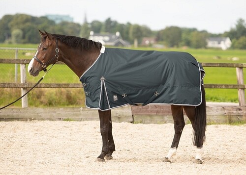 Harry's Horse Outdoordeken Thor 100grams