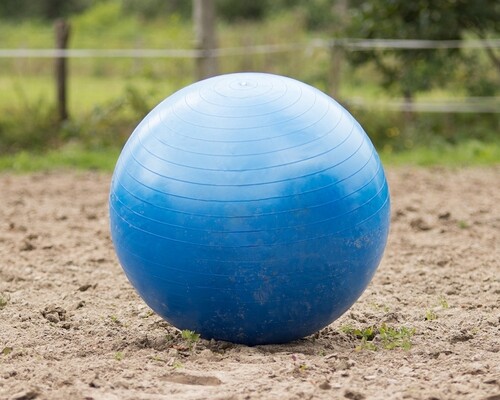 QHP Paardenvoetbal