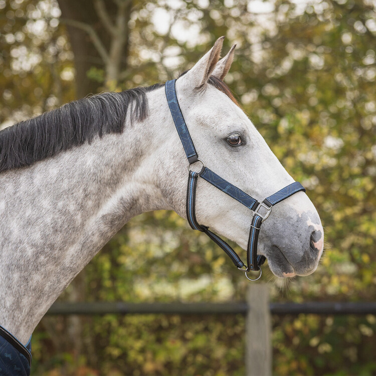 QHP Halsterset Turnout collection
