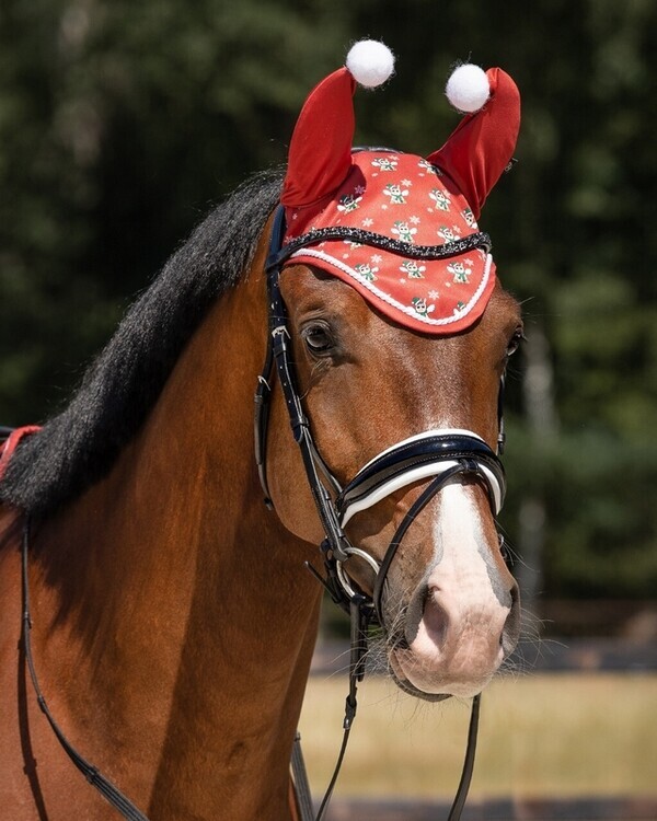 Kerst met je paard