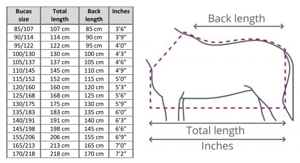 sizechart.name